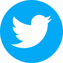 Twitter (X)